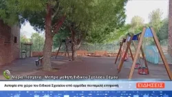 ΔΕΛΤΙΟ ΕΙΔΗΣΕΩΝ ΤΗΣ ΣΑΜΙΑΚΗΣ ΤΗΛΕΟΡΑΣΗΣ 25-02-26