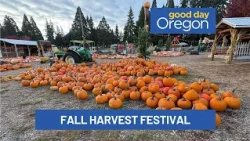 Annual Fall Harvest Festival at Lee Farms