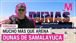 Un mar de arena en medio del desierto… y mucho más. Dunas de Samalayuca Un mar de arena en medio del desierto… y mucho más. Dunas de Samalayuca
