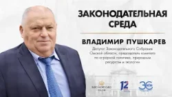«Законодательная среда». Владимир Пушкарёв (24.04.24)