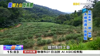 「鐵」粉上山找茶趣 創新甜點「焙」受矚目《海峽拼經濟》