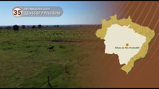 Terralmo 35: Farm for lease in Ribas do Rio Pardo/MS