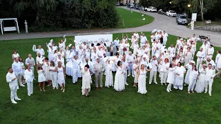 White Elegance in the Historic Heart of the Kłodzko Valley - A Look Back at the White Dinner in T...