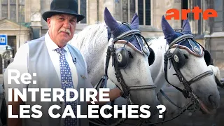 Canicule à Vienne, fini les calèches ? | ARTE Regards
