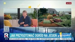 Jak przygotować ogród na jesień? | Wstajemy