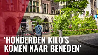 Boom omgevallen op de Dam