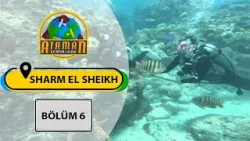 Kızıldeniz’in Cenneti: Sharm El Sheikh ?? | Ataman ile Devr-i Alem | 6. Bölüm