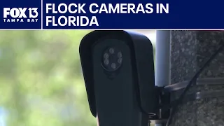 St. Pete police chief defends Flock license cameras
