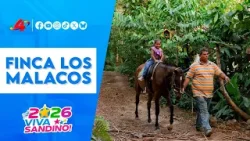 Finca Los Malacos: Un oasis de biodiversidad y turismo sostenible en Granada ? Finca Los Malacos: Un oasis de biodiversidad y turismo sostenible en Granada ?