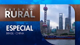 What can Brazilian farmers learn from Chinese agriculture? | Estúdio Rural