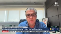 Corn surplus and advancing soy crop worry Brazilian market