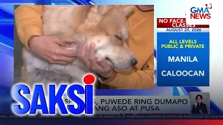 Leptospirosis, puwede ring dumapo sa mga alagang aso at pusa | Saksi