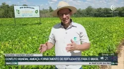 IDR-Paraná lança cultivar de feijão IPR Quiriquiri