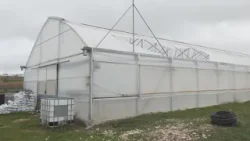 Invernaderos destrozados y ríos crecidos en Aranjuez: el campo madrileño, en alerta