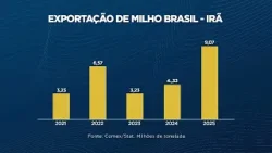 Exportação de milho do Brasil para o Irã cresce 280% em cinco anos | Agroexport