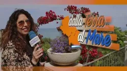 Dalla Terra al Mare - Il castello di Roccascalegna e  le curiosità dell’etnobotanica sulla Maiella.