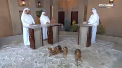 الأصايل | مهرجان المرموم التراثي - اليوم الخامس