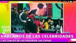 Celebridades que se pasaron de copas durante conciertos | Vivalavi MX