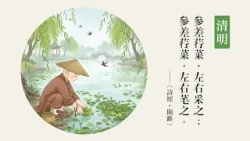 今日清明｜參差荇菜 左右采之