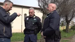 Combattimenti clandestini tra cani, la piaga arriva anche nel Municipio X - Canale 10