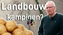 Waarom Groningen tot de wereldvoedseltop behoort (en de prijs die we daarvoor betalen)