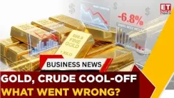 Precious Metals Under Pressure | What Triggered Silver’s Steep Fall? | Business News | ET Now