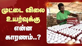 முட்டை விலை உயர்வுக்கு என்ன காரணம்..? | Egg Price | War | Sun News