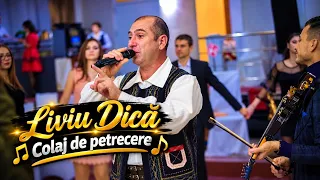 🔴 New 2026 ❗ Liviu Dica ❌ Ascultare ❌ Hore ❌ Sarbe ❌ Ziua com. Daneti 2026 ❌ Colaj de petrecere❌