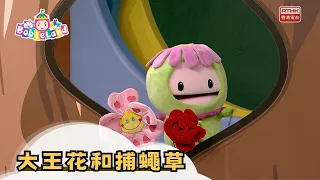 BobieLand | Rafflesia and Venus Flytrap | Learn More with Okie Okie | Kids' Show
