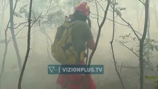Zjarret djegin pyjet në Dibër, ndërhyrja e vështirë për shkak të terrenit