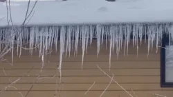 Roofs across Connecticut have been damaged by the recent heavy snowfall