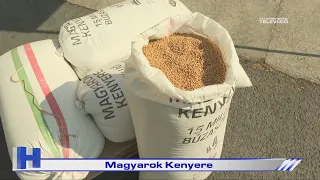 Magyarok Kenyere – ZTV Híradó 2026-07-21