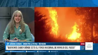"The wildfire problem is complex and multicausal," Adriana Serquis on DTV.