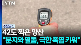 42도 찍은 양산..."분지와 열돔, 극한 폭염 키워" / YTN