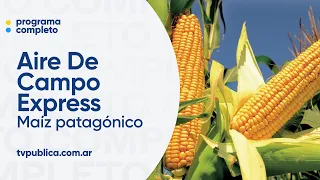 Dairy, corn, and rice varieties - Aire De Campo Express