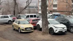 Спортивную площадку создадут в городском парке столицы Приморья.