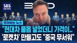 "The price of a fully loaded Hyundai".. Even with 'rocket cars', they're "afraid of China" / SBS ...