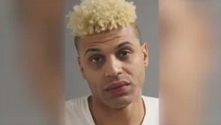 Chicago man charged in robbery, fatal stabbing of CTA janitor at Green Line stop, Chicago police ann