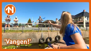 Zijn de mensen langs de kant een beetje bedreven frisbeevangers? | Rondje Zummer