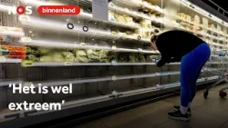Why the Albert Heijn shelves were empty within one day