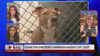 2 NEWS NOW - Aug. 13, 2026