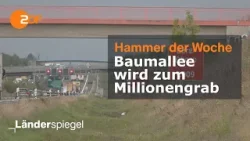 Baumallee wird zum Millionengrab | Hammer der Woche vom 26.08.23 | ZDF