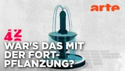 Stecken wir in einer Spermakrise? | 42 - Die Antwort auf fast alles Reupload | ARTE