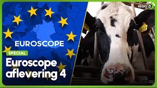 EuroScope Aflevering 4: Is het gras voor Achterhoekse boeren over de grens met Duitsland groener?