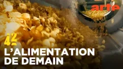 Les aliments transformés rendent-ils malades ? | 42 - La réponse à presque tout | ARTE