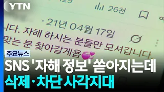 'Self-Harm Content' Floods Social Media... But Deletion and Blocking Remain in a Blind Spot / YTN