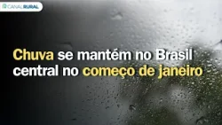 Previsão do tempo | Brasil 15 dias | Chuva se mantém no Brasil central no começo de janeiro