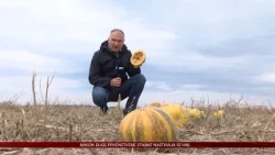 Od bundeva do bučinog ulja - može li drugačija proizvodnja osigurati život na selu?