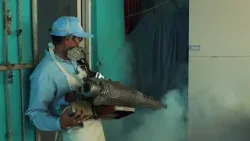 Fumigan y abatizan barrios del distrito 3 de Managua Fumigan y abatizan barrios del distrito 3 de Managua