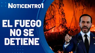 Wildfires rage: environmental emergency grows | Canal 1 News